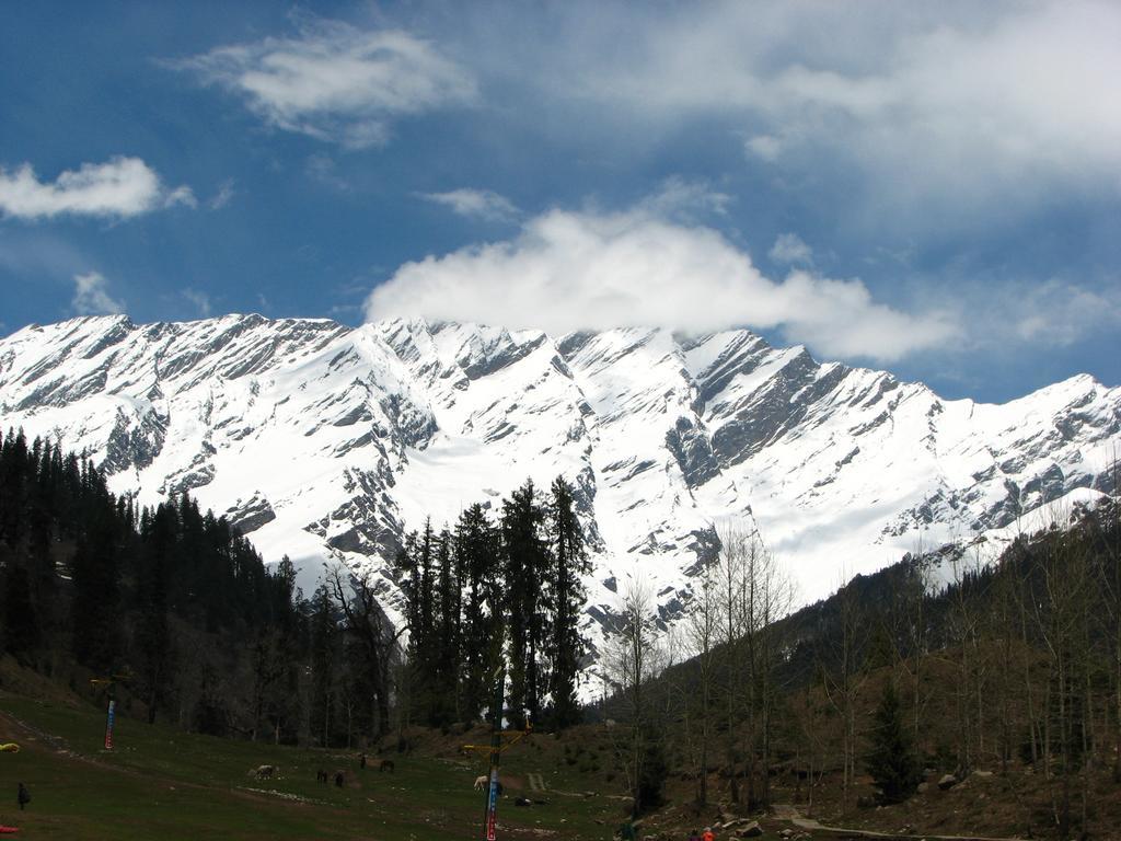 Hotel New Adarsh - Manali (Himachal Pradesh) — Photos 1
